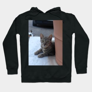 Alex Cat Portrait Hoodie